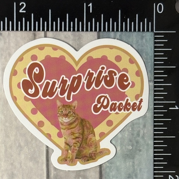 🌀10/$10🌀 Retro Pet Reusable Waterproof Vinyl Sticker Decal - Picture 1 of 1